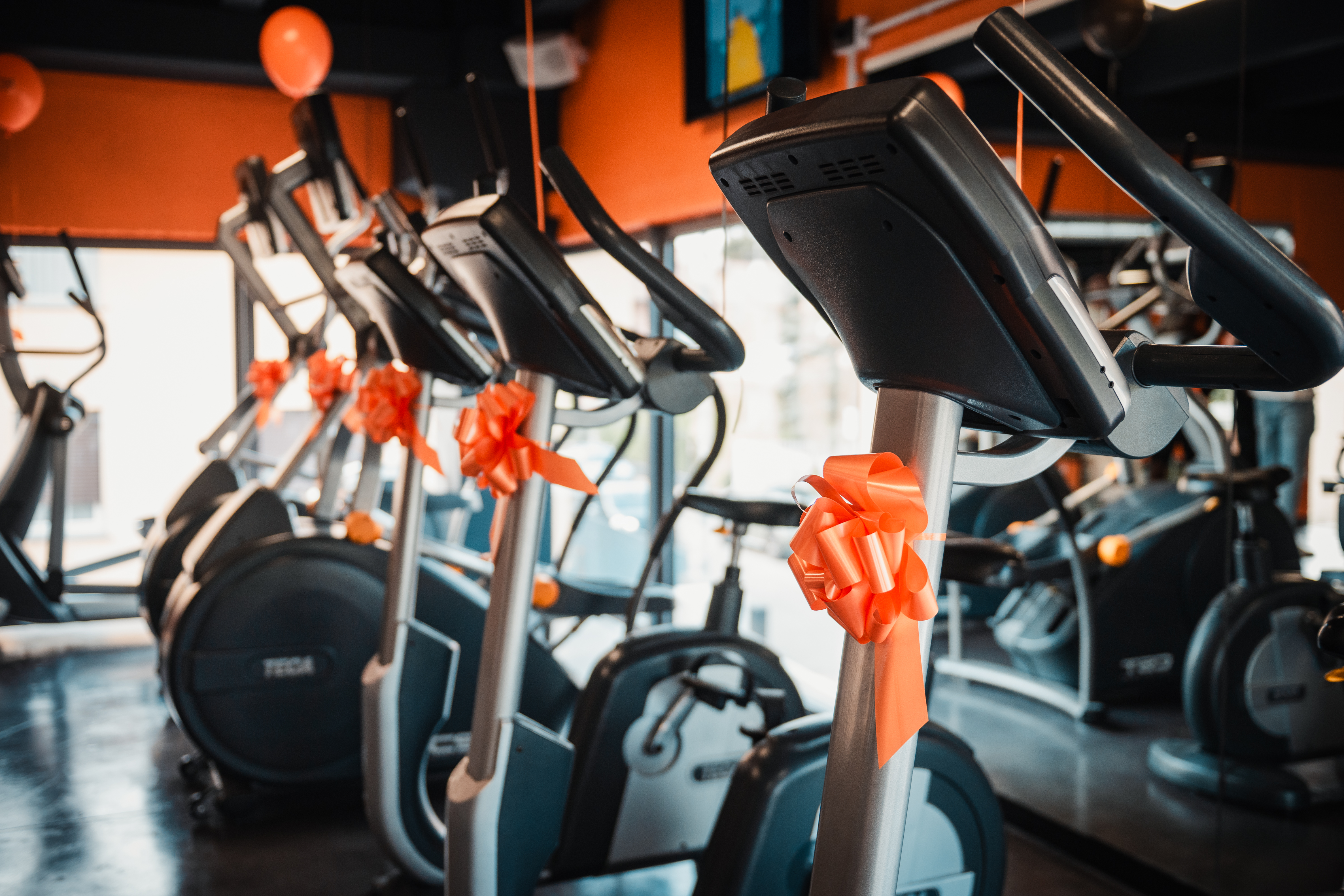 FitActive Giussano